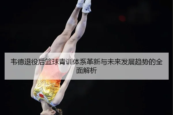 韦德退役后篮球青训体系革新与未来发展趋势的全面解析